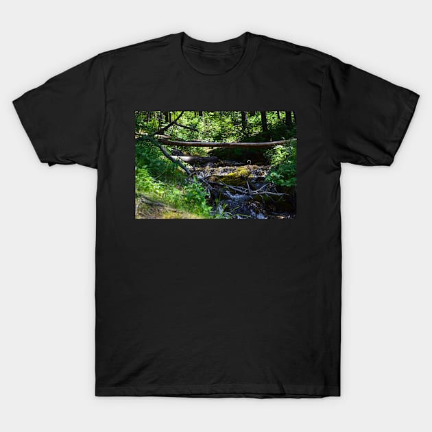 Mountain hike T-Shirt by CanadianWild418